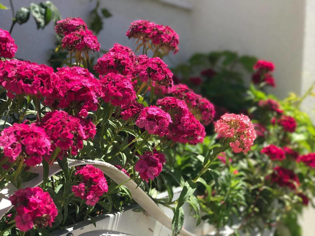 Sunny Bay Apartments Sarandë 외부 사진