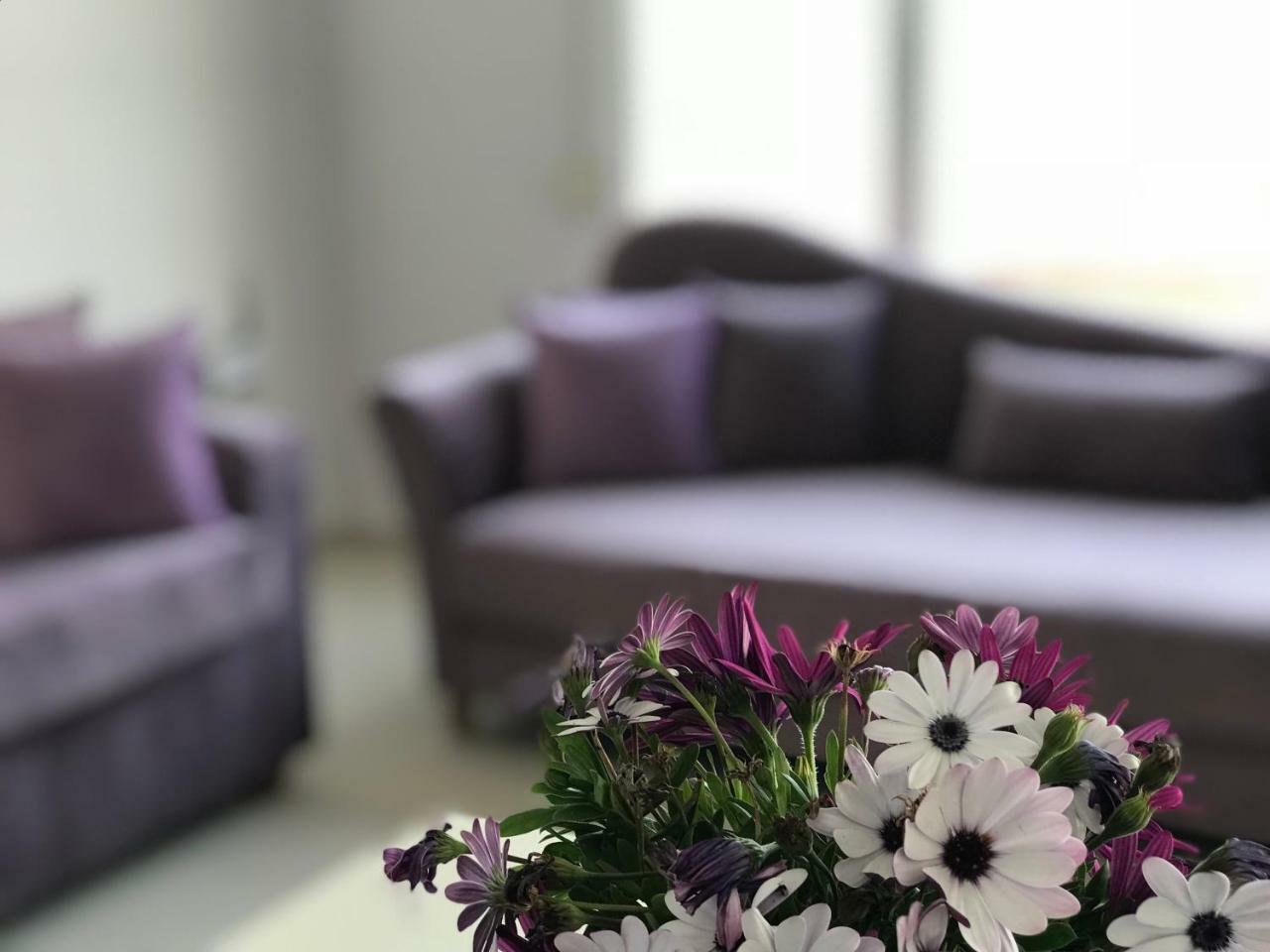 Sunny Bay Apartments Sarandë 외부 사진